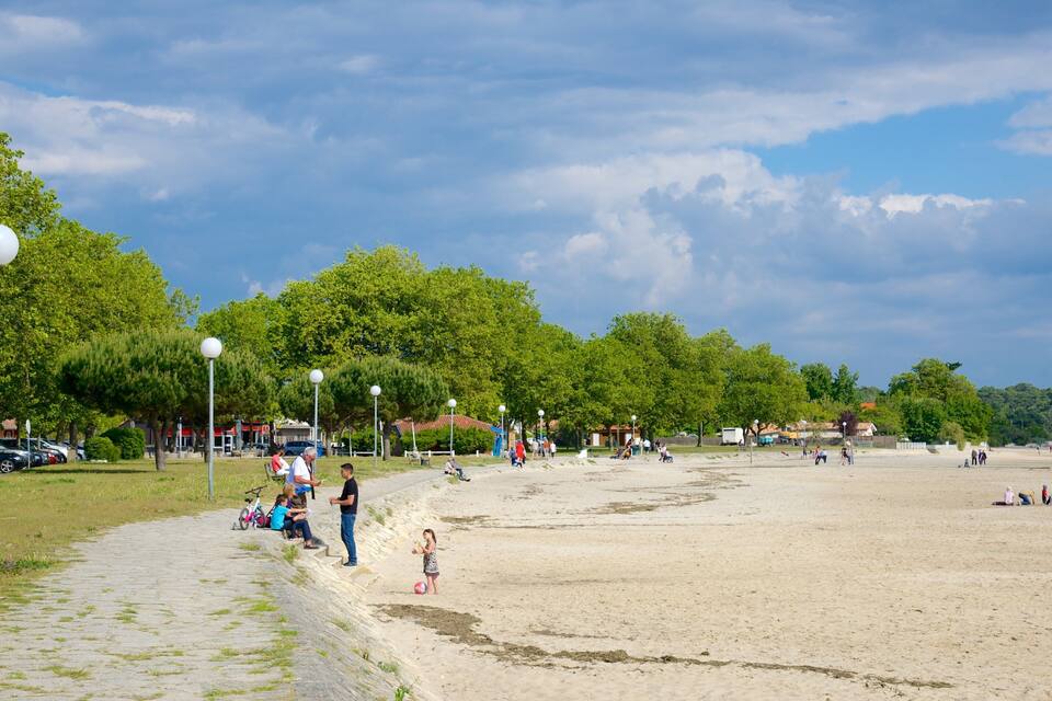 Een zandstrand met mensen, bomen en geparkeerde auto's.