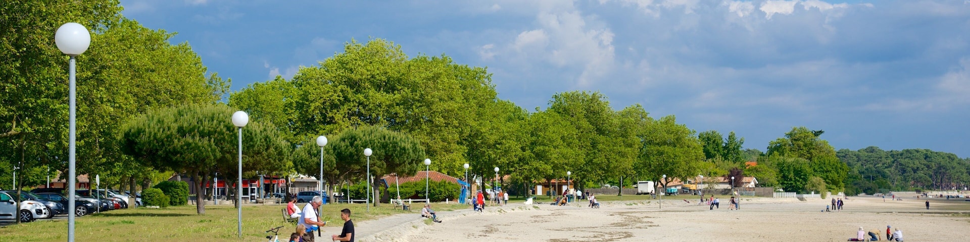 Bordeaux which includes a beach