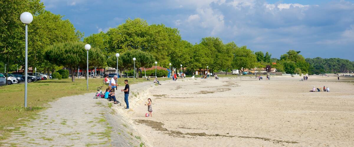 A sandy beach with people, trees, and parked cars.