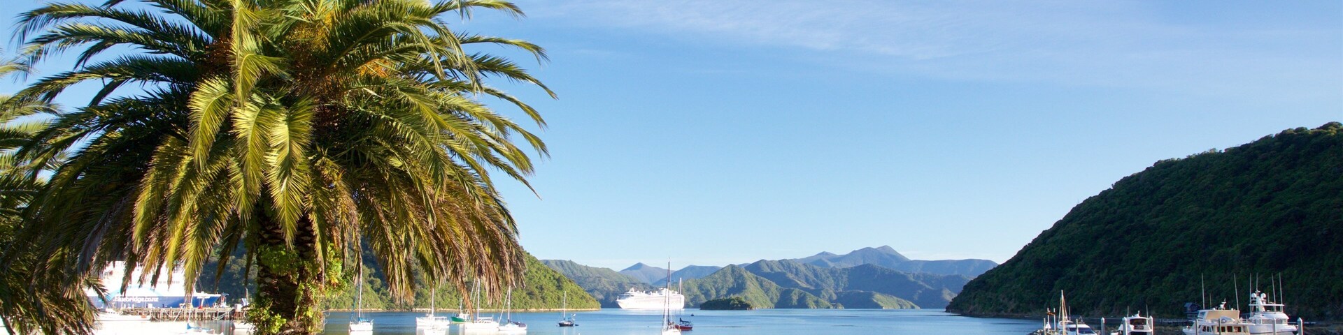 Picton showing a bay or harbour, a pebble beach and mountains
