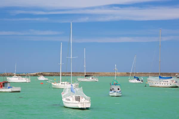 Un port de plaisance où plusieurs voiliers sont amarrés dans des eaux turquoise et calmes.