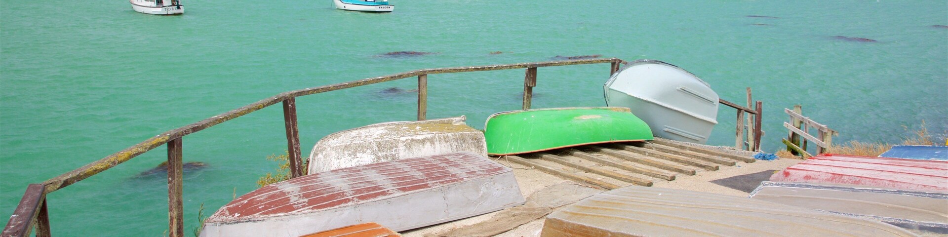 Oamaru ofreciendo velero, una bahía o un puerto y botes