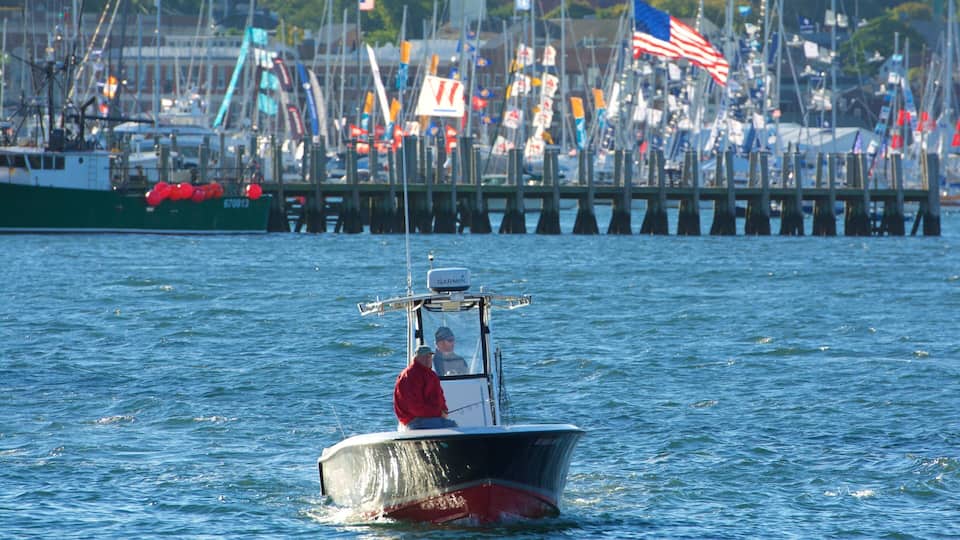 Newport Harbour which includes a bay or harbor and boating as well as an individual male