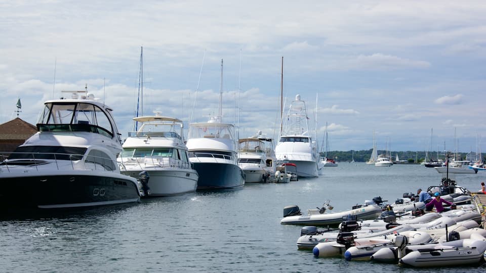 Newport Harbour featuring a bay or harbor