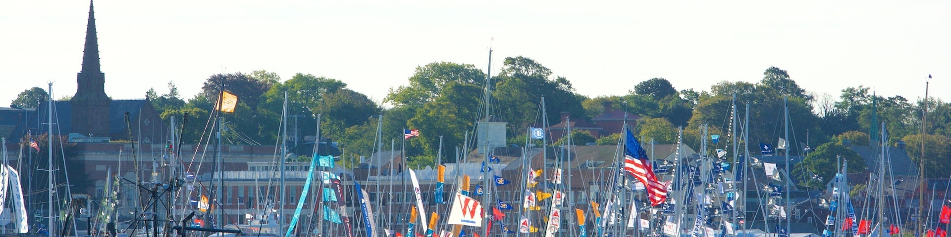 Newport Harbour featuring a bay or harbor