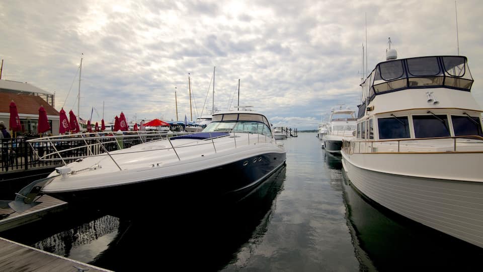 Newport Harbour featuring a bay or harbor
