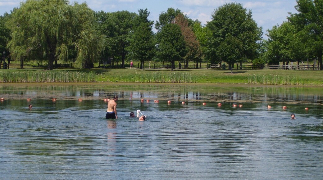 Champaign que incluye un lago o laguna y también un grupo pequeño de personas