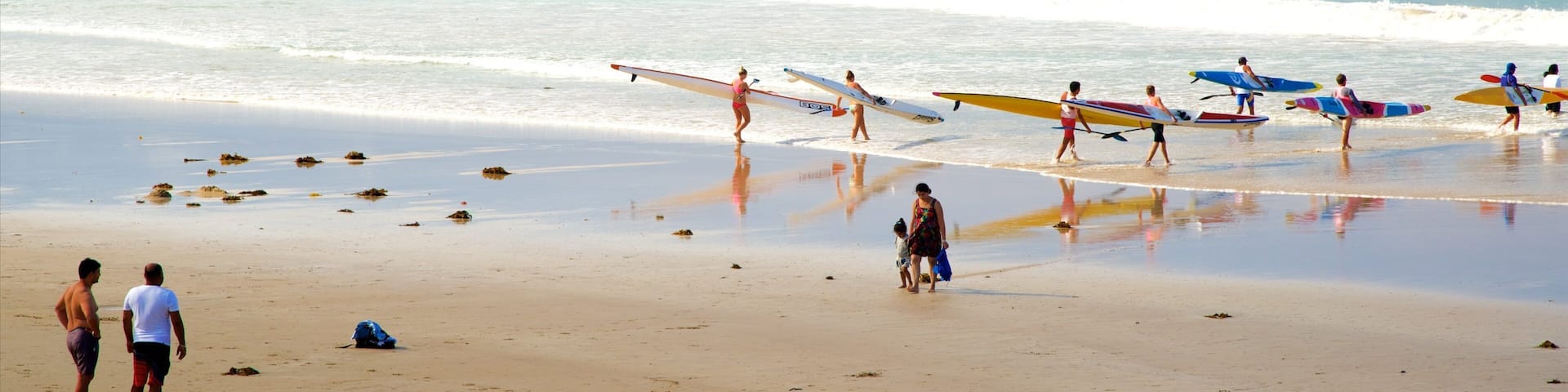 Park Beach featuring surfing, a sandy beach and general coastal views