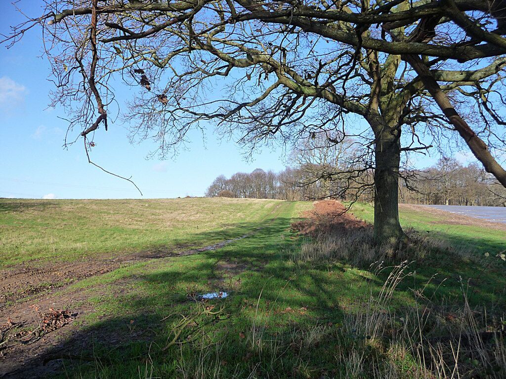 Looking north from Dumpford Lane