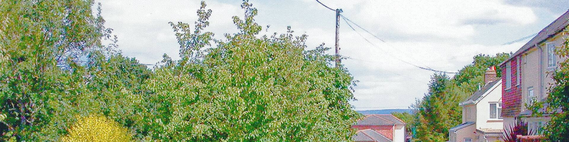 Site of former Rogate station. View SE from A272, towards Midhurst and Pulborough: a station on the Petersfield - Midhurst - Pulborough branch. This line was ex-LSWR west of Midhurst, ex-LB&SCR thence to Pulborough. Passenger services ceased from 7/2/55 and the line was closed to Midhurst, but east of there goods traffic lasted until 1964-66.