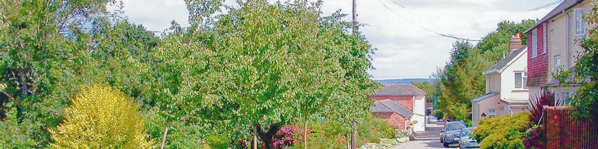 Site of former Rogate station. View SE from A272, towards Midhurst and Pulborough: a station on the Petersfield - Midhurst - Pulborough branch. This line was ex-LSWR west of Midhurst, ex-LB&SCR thence to Pulborough. Passenger services ceased from 7/2/55 and the line was closed to Midhurst, but east of there goods traffic lasted until 1964-66.