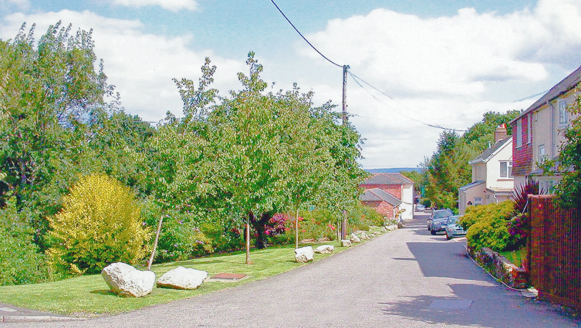 A residential street lined with trees and houses.