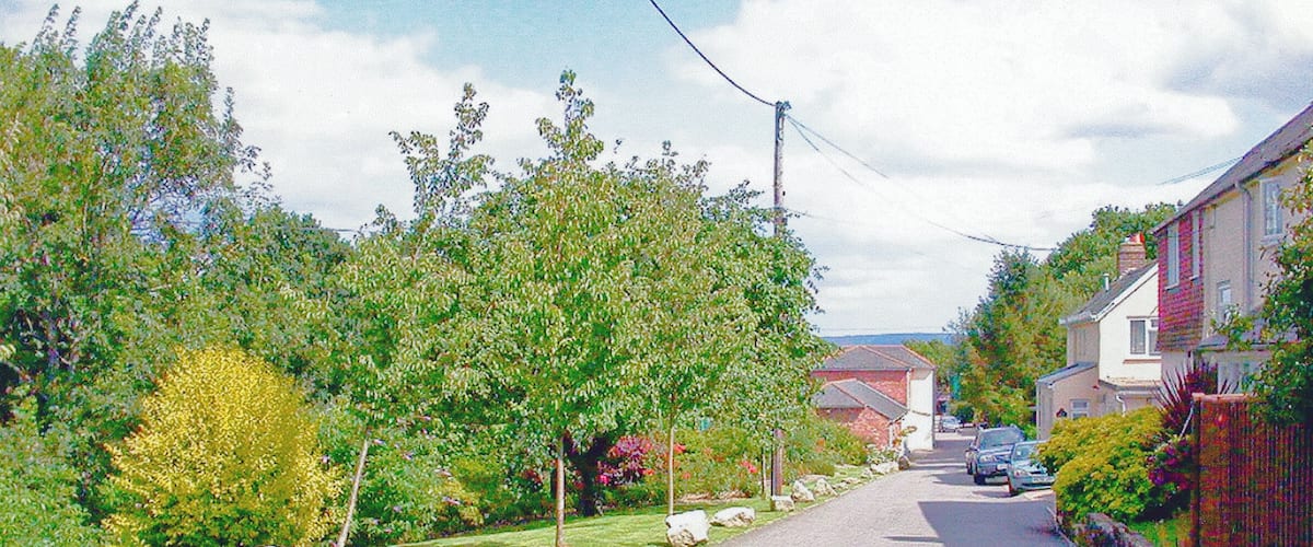 A residential street lined with trees and houses.