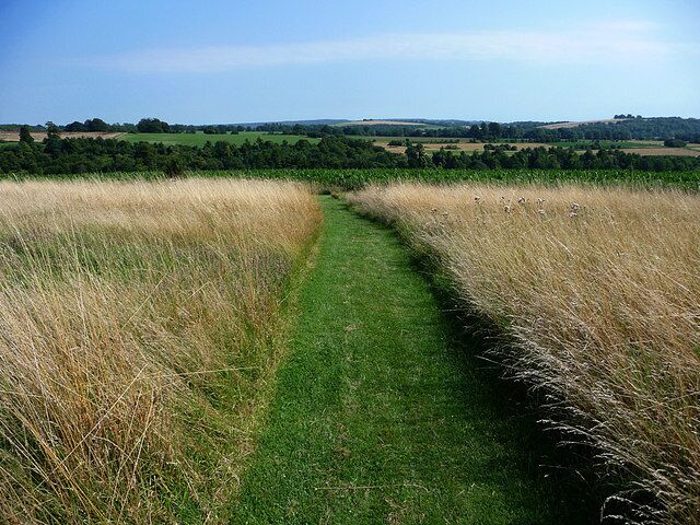A grassy path in a field with rolling hills in the background.