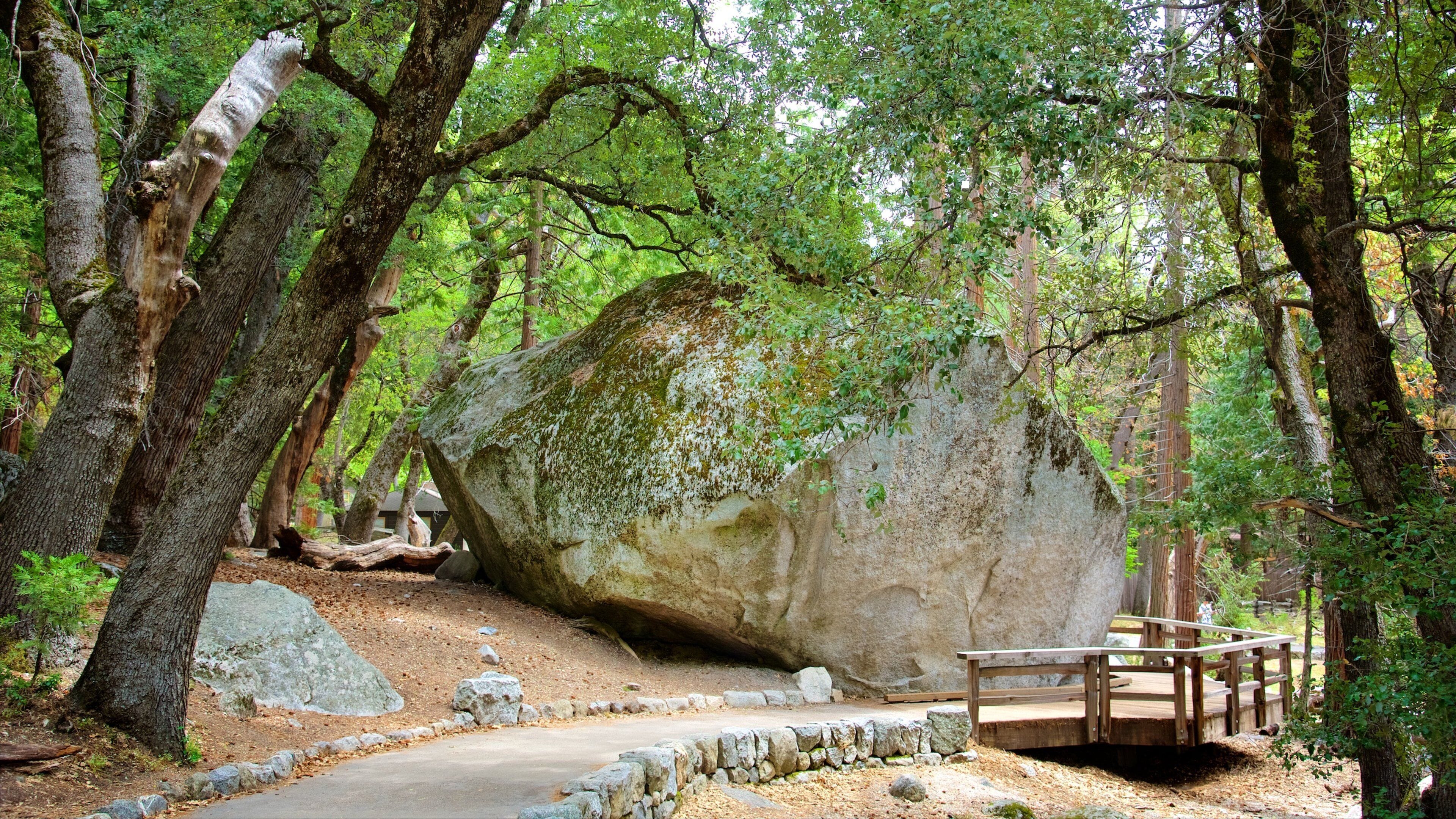 Lower Yosemite Falls which includes a park, a bridge and forests