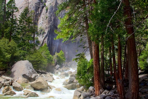 Lower Yosemite Falls which includes a river or creek and forest scenes