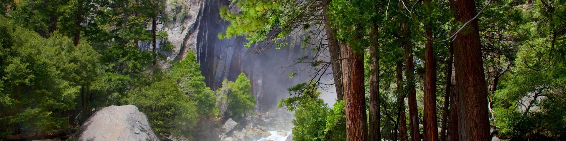 Lower Yosemite Falls which includes a river or creek and forest scenes