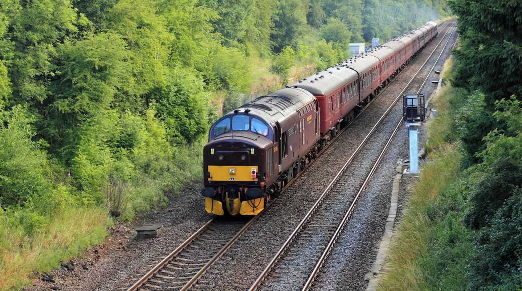 37676 riding shotgun on 1Z53