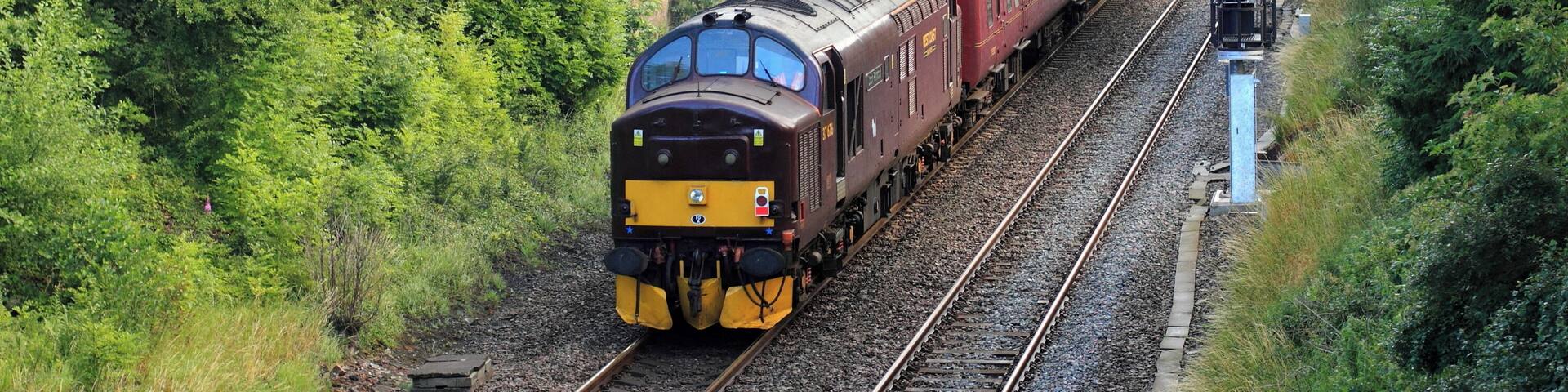 37676 riding shotgun on 1Z53