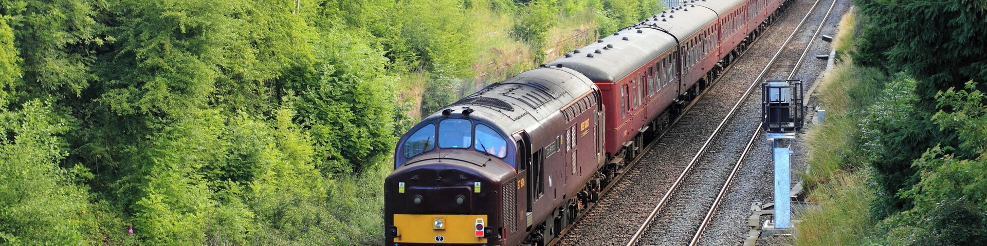 37676 riding shotgun on 1Z53