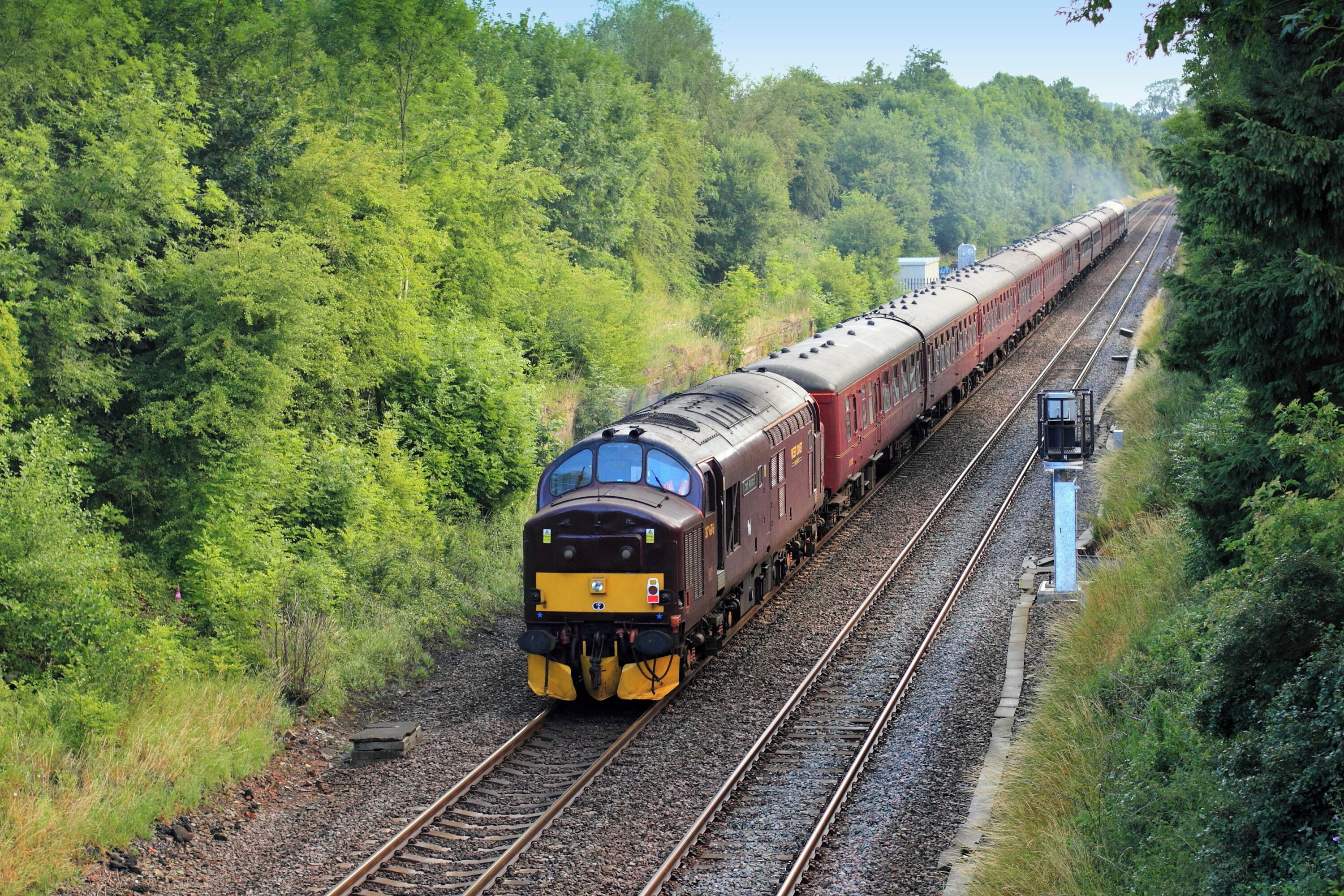 A train on a railway track surrounded by dense green forest.