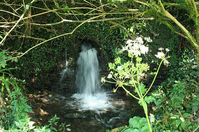 Stream in St Julitta's parish churchyard, Lanteglos, near Camelford, Cornwall