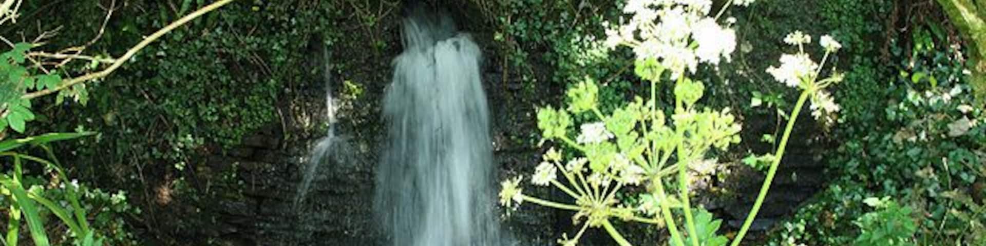 Stream in St Julitta's parish churchyard, Lanteglos, near Camelford, Cornwall