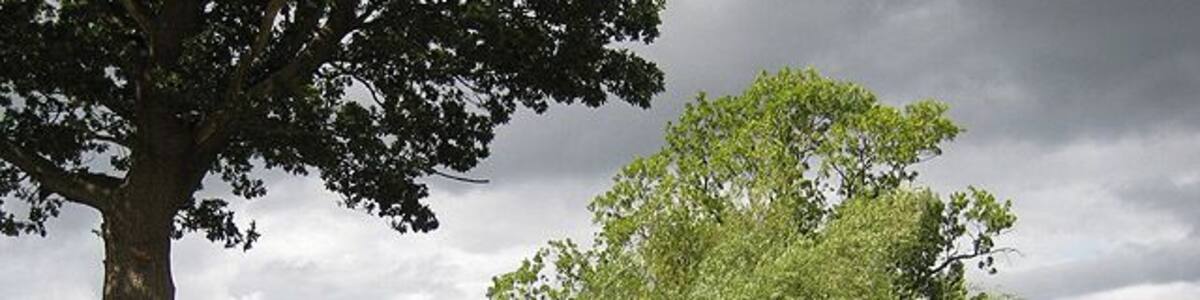 Approaching the church at Pauntley The trees on the right surround Old Mill Pond with the rooftops of Pauntley Court to their right. The church of St. John the Evangelist sits on the rise.