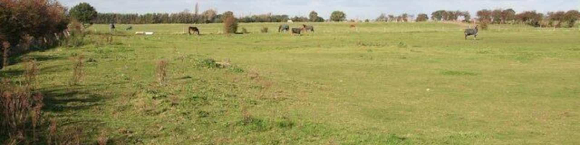 Morton Carr Pasture off Laughton Road