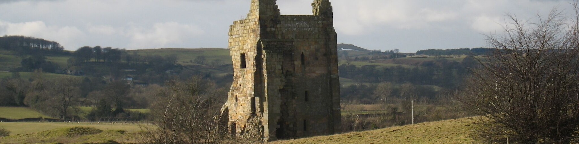Ravensworth Castle This photograph shows a view of the remains of Ravensworth castle. The picture was taken from the road near Tofta House looking in a south-westerly direction towards Flatts Bank.