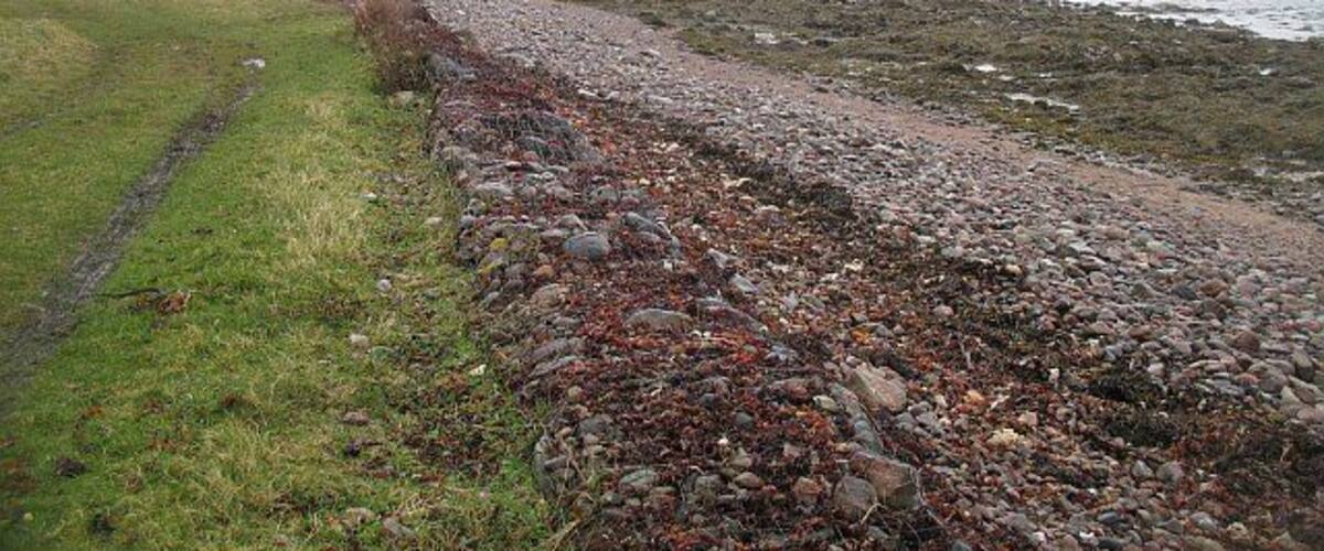 A rocky coastal path with grass and a view of the sea.