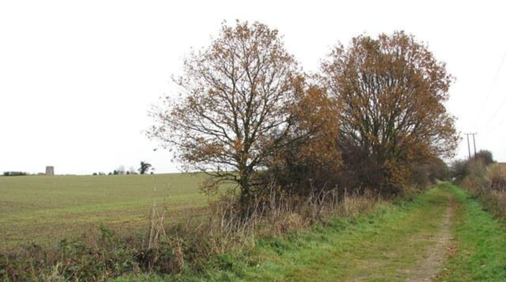 Field adjoining the Weavers Way in the north The top of the tower of St Andrew's church in Felmingham can be seen in the far distance (at left). The path seen in the foreground follows a dismantled railway trackbed, forming a section of the Weavers Way. The Weavers Way links Cromer with Great Yarmouth and has a length of 90 kilometres.