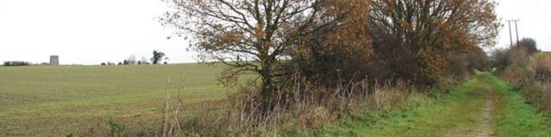 Field adjoining the Weavers Way in the north The top of the tower of St Andrew's church in Felmingham can be seen in the far distance (at left). The path seen in the foreground follows a dismantled railway trackbed, forming a section of the Weavers Way. The Weavers Way links Cromer with Great Yarmouth and has a length of 90 kilometres.