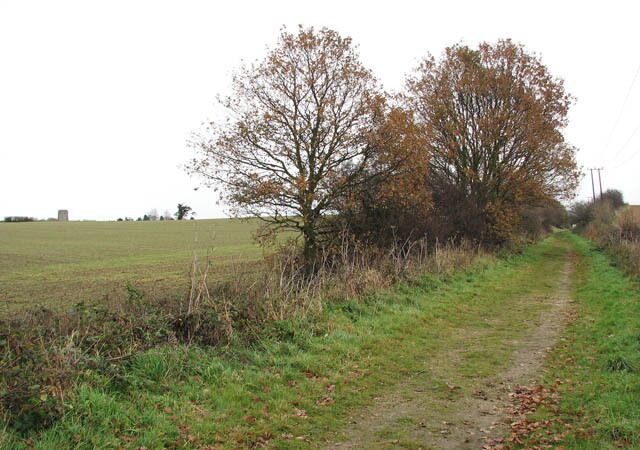 A rural path with trees and a field.