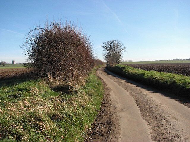 Minor road without name The road leads from Hyltons Crossways to Lodge Farm, south of the village of Felmingham. The tower of St Andrew's church in Felmingham can be seen in the distance across the field, left of the hedgerow.