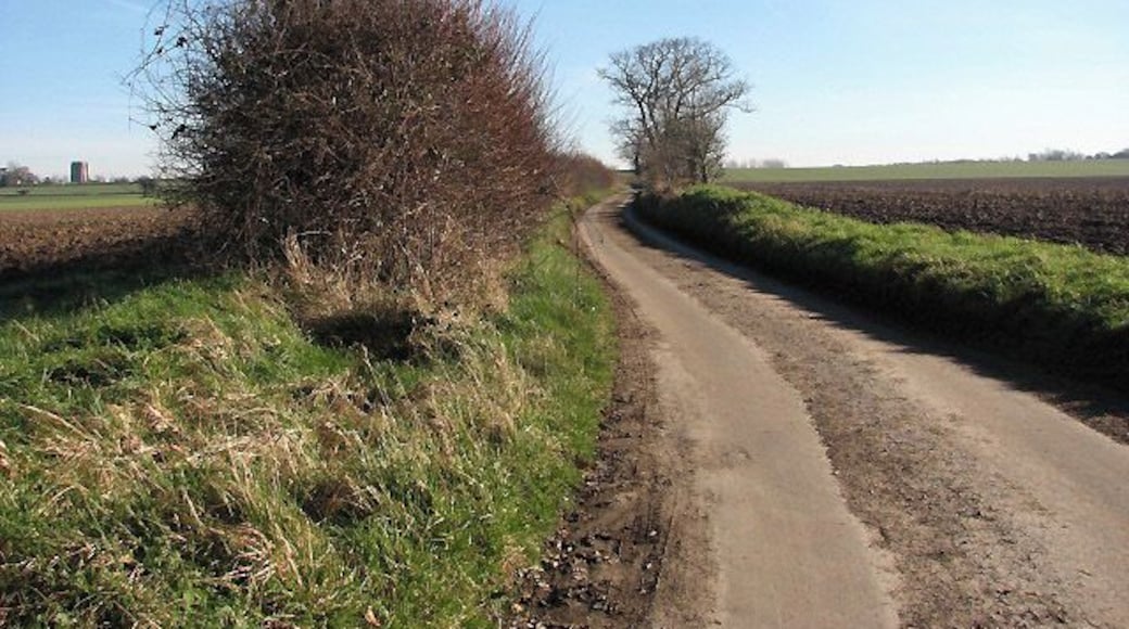 Minor road without name The road leads from Hyltons Crossways to Lodge Farm, south of the village of Felmingham. The tower of St Andrew's church in Felmingham can be seen in the distance across the field, left of the hedgerow.