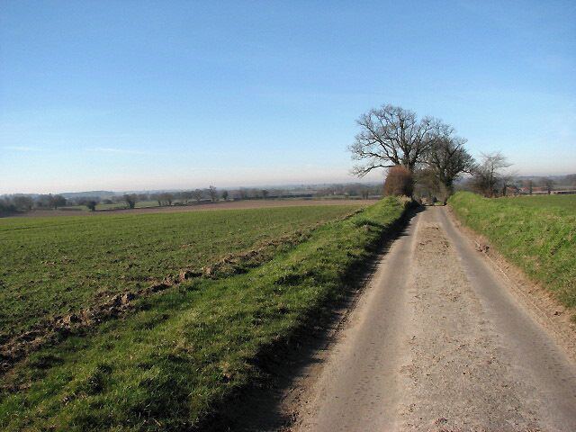 Fields in February sunshine The view was taken from a minor road, south of the village of Felmingham, leading west from Lodge Farm to Hyltons Crossways.