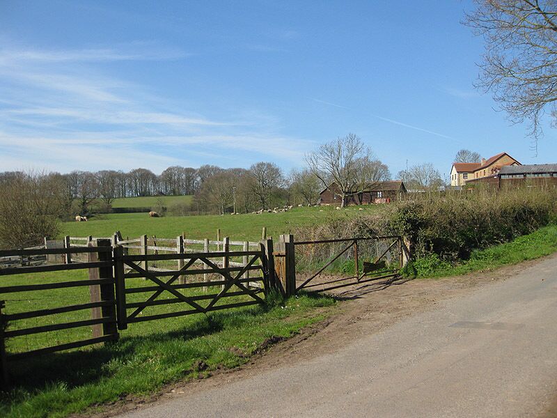 View from Cothar's Pitch Sheep are grazing near Cothar's Farm.