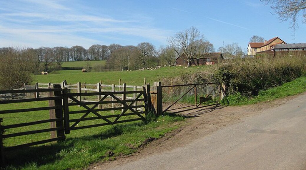 View from Cothar's Pitch Sheep are grazing near Cothar's Farm.