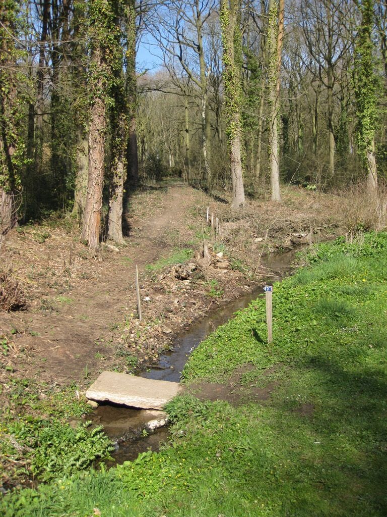 Woodland stream with small bridge. The stream runs alongside Ox Lodge Wood, a privately owned oak wood planted around 100 years ago on the site of ancient woodland.