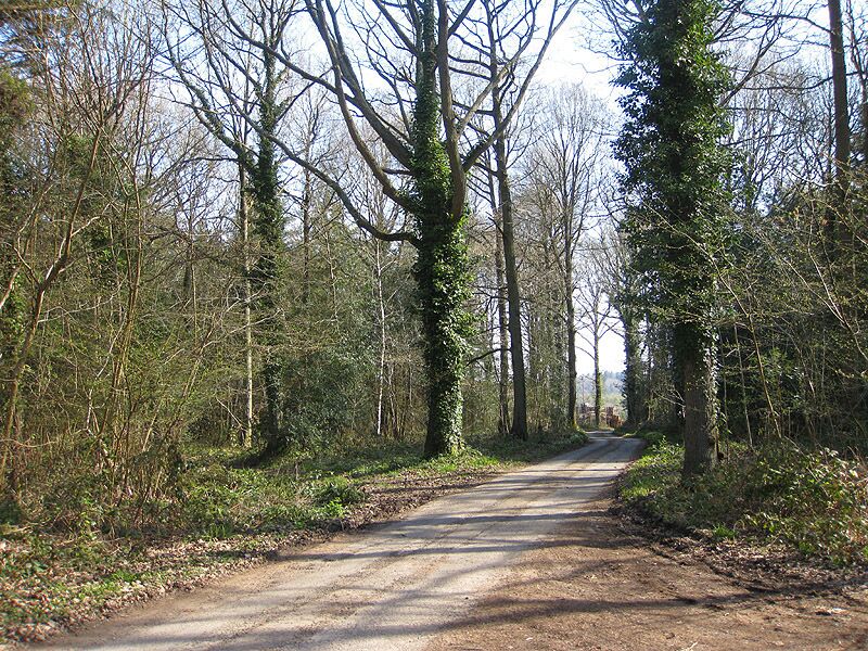 Lane to Steelworks and Steelworks Farm Passing through Linton Wood.