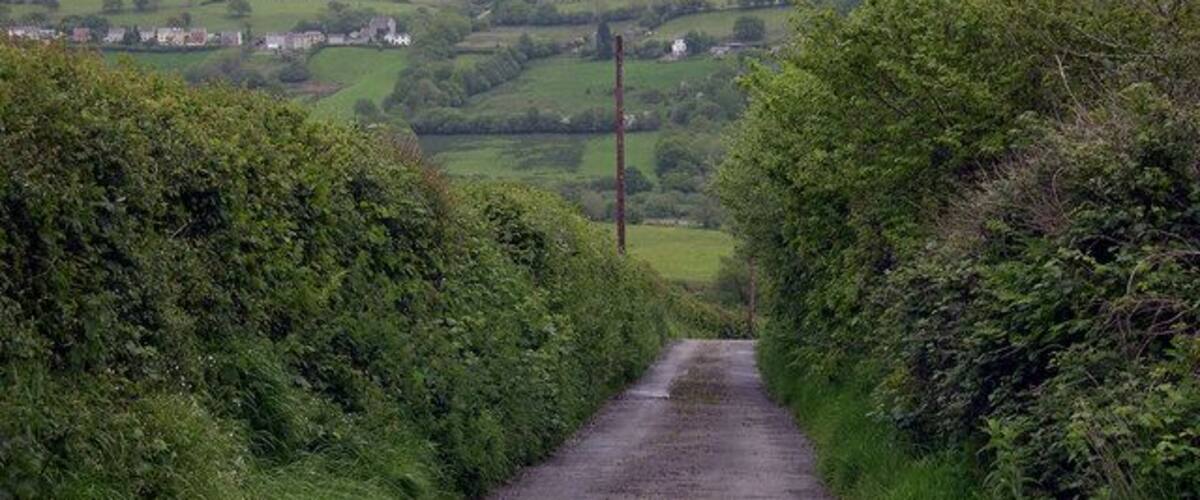 Road to Plas Mawr from Plas Uchaf