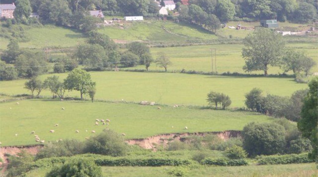 Flood plain erosion The river is just out of sight in this picture, but recent river erosion into the flood plain is clearly visible by the Loughor river.