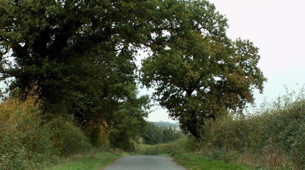 The road on Maple Hill