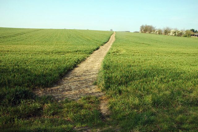 Footpath near Boyton End A nicely reinstated footpath across a cropped field near its junction with the road at Boyton End.