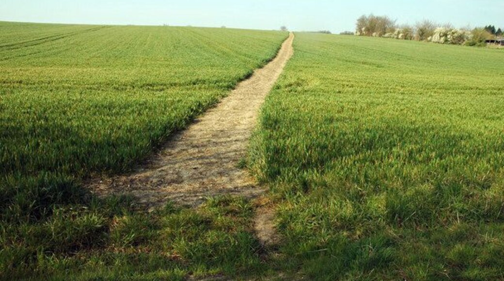 Footpath near Boyton End A nicely reinstated footpath across a cropped field near its junction with the road at Boyton End.