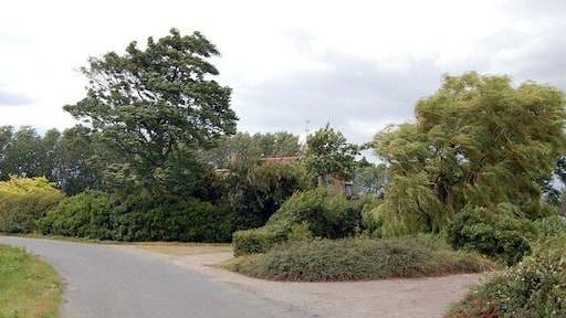 Lane at East Hyde The farmhouse at East Hyde can be glimpsed through the trees.