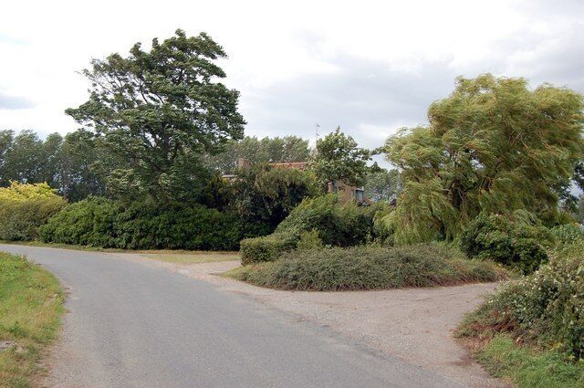 A rural road curving through a wooded area with dense trees and bushes.