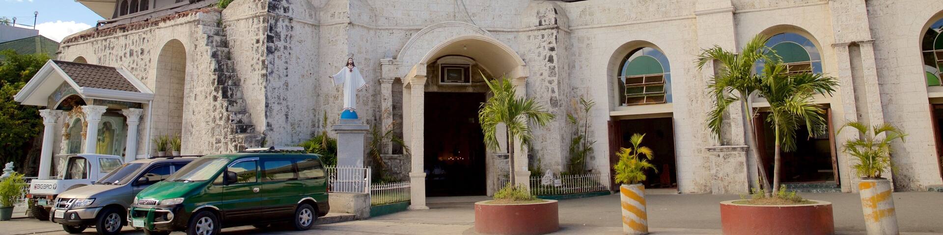Cebu Island featuring a church or cathedral, heritage architecture and religious elements