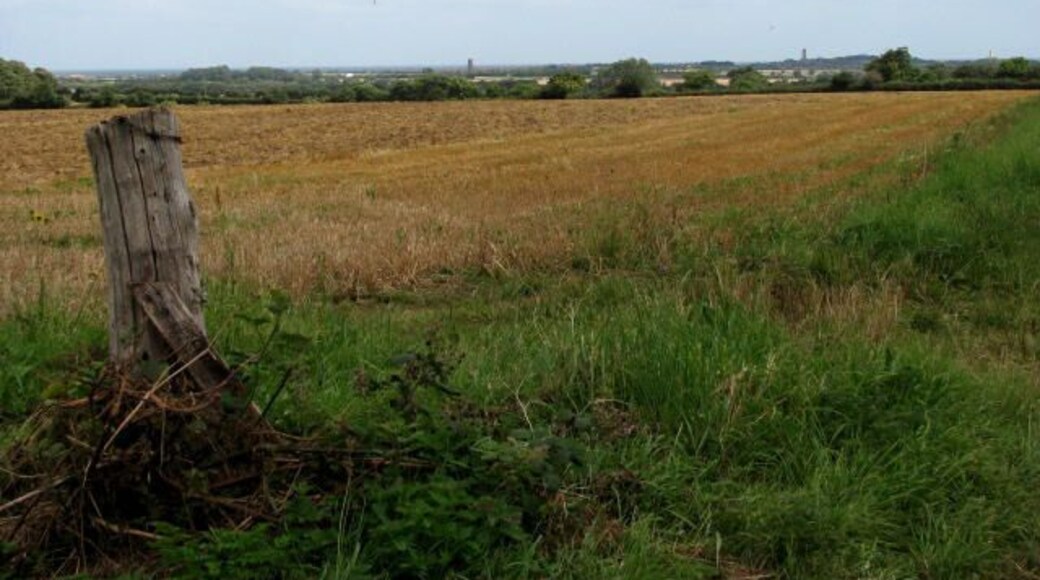 Farmland with a view The towers of St Andrew's, Bacton and St Mary's church, Happisburgh can be seen in the distance.